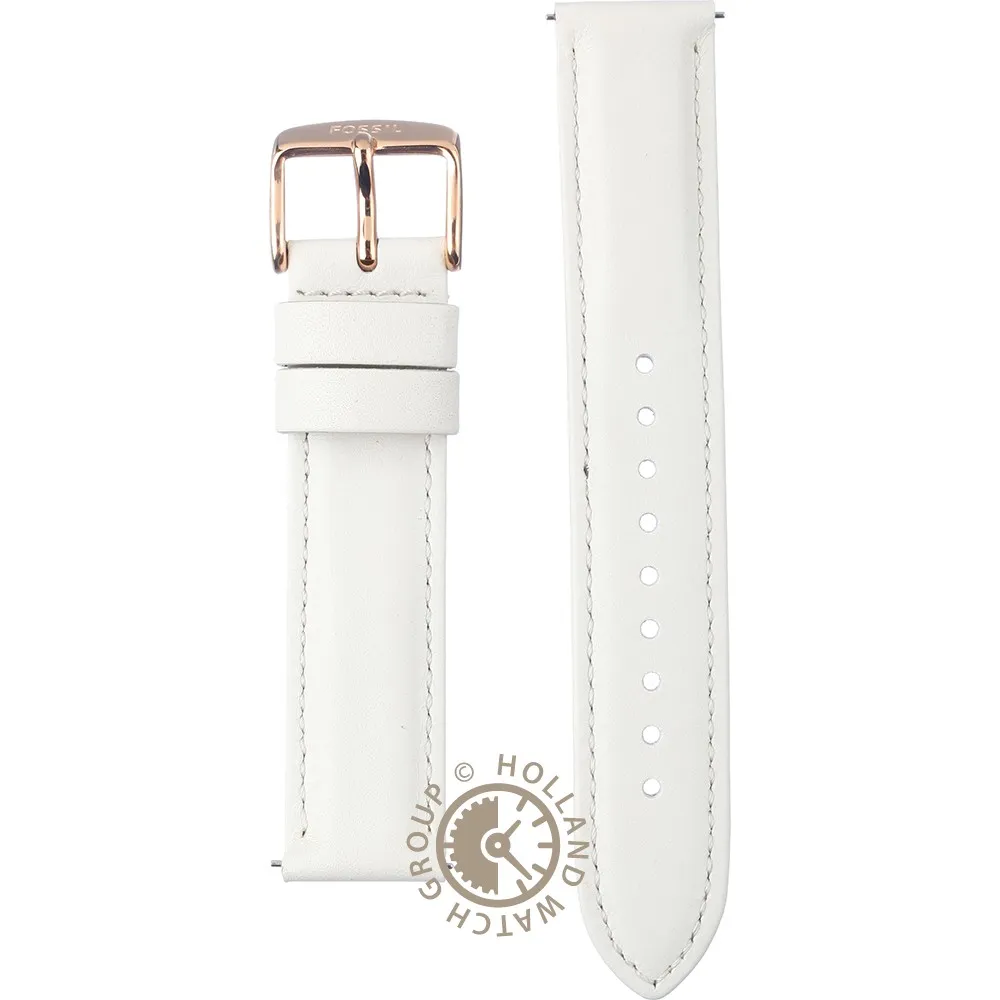 Fossil Straps ABQ3236SET BQ3236SET Daydreamer Horlogeband